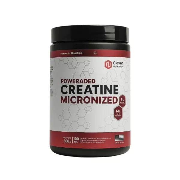 Creatina 500 g - One Fit